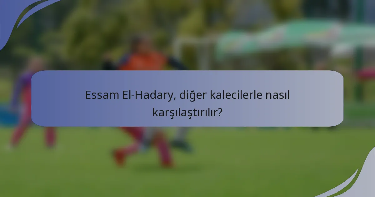 Essam El-Hadary, diğer kalecilerle nasıl karşılaştırılır?